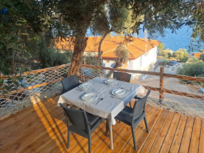 Akbük Tiny House Tatil: Doğayla Modernliğin Buluşması